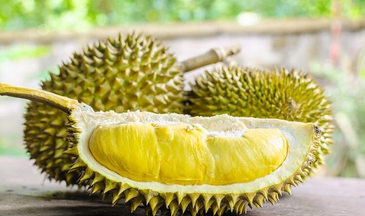 Keunikan Buah Durian Menjadi Salah Satu Hal Terbau Di Dunia