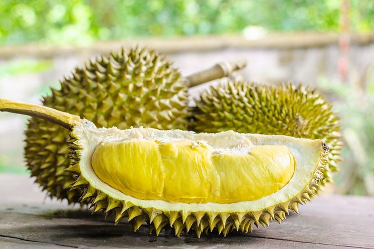 Keunikan Buah Durian Menjadi Salah Satu Hal Terbau Di Dunia