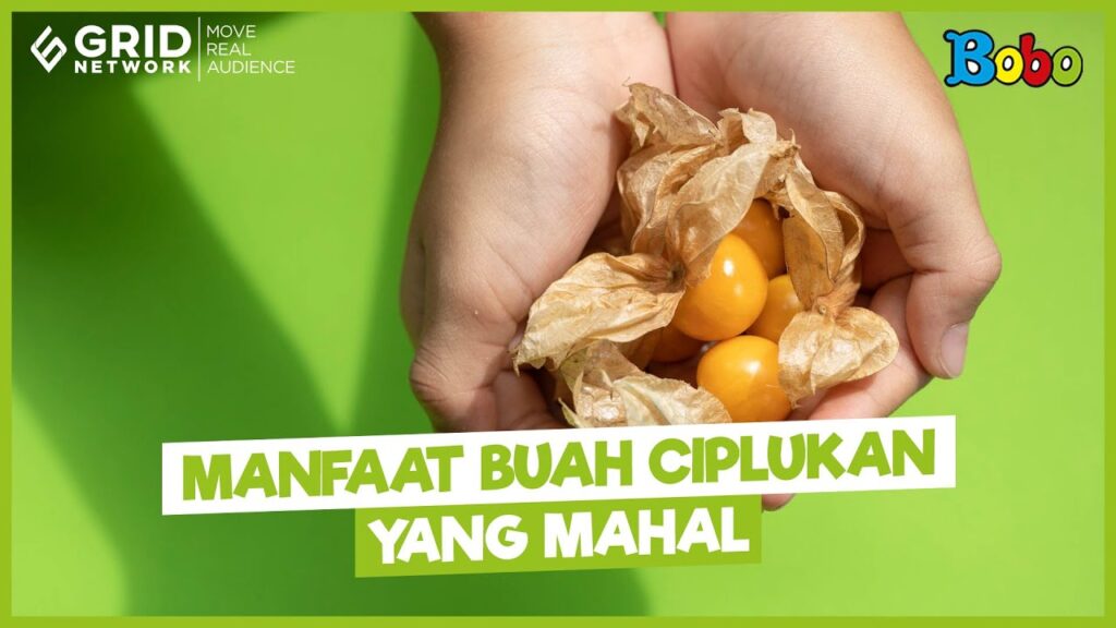 Manfaat Buah Ciplukan