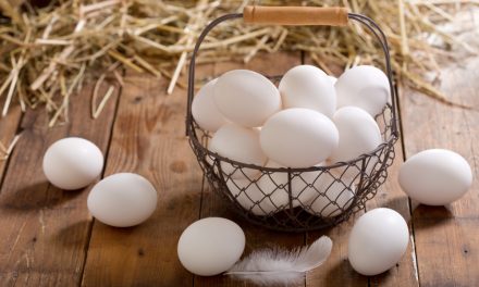 Manfaat Telur Ayam Kampung yang Berkualitas Tinggi