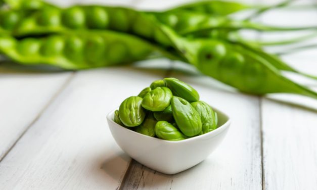 Sayur Petai Makanan Khas Yang Di Gemari Karena Aroma Uniknya