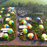 Kampung Teletubbies Konsep Yang Ceria Dan Bentuk Yang Lucu