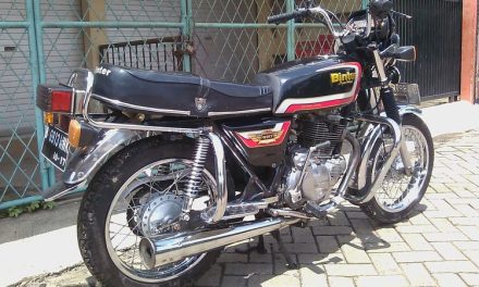 Binter Merzy Pernah Menjadi Primadona Di Indonesia, Era 1980-An