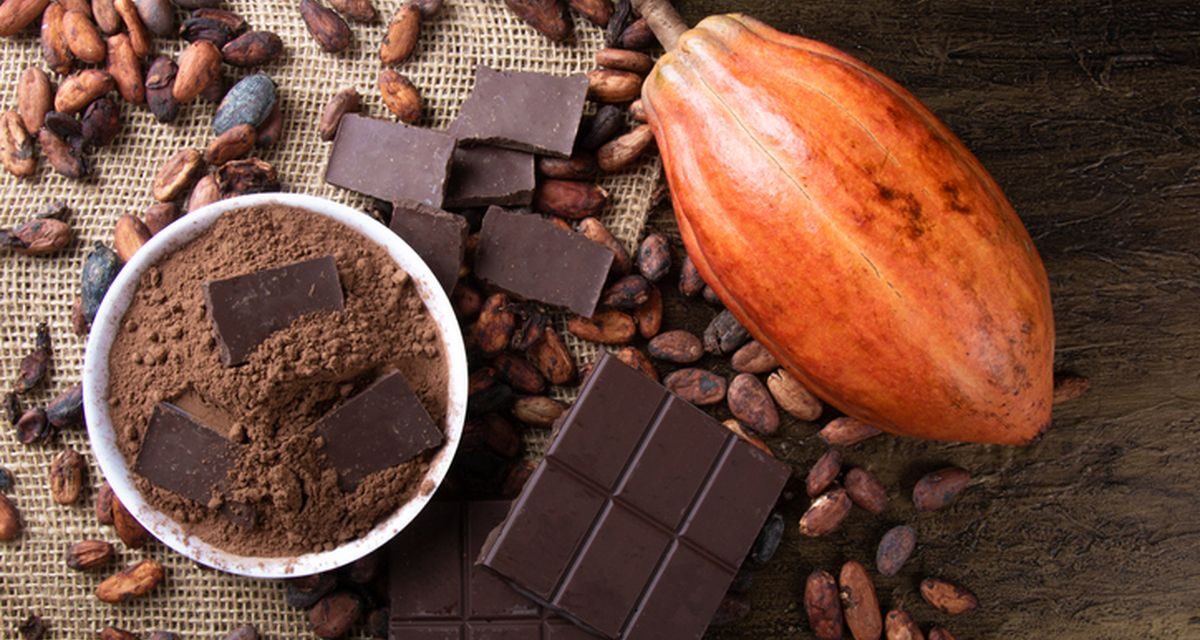 Sejarah Manis Perjalanan Coklat Dari Ritual Kuno Hingga Modern