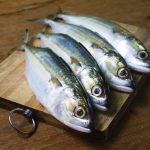 Ikan Kembung Salah Satu Ikan Sehat Dengan Harga Terjangkau