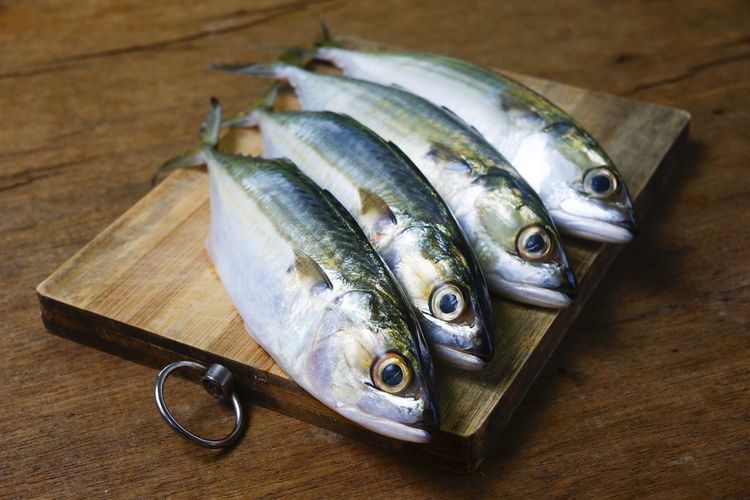 Ikan Kembung Salah Satu Ikan Sehat Dengan Harga Terjangkau