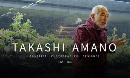 Takashi Amano Sang Legenda Aquascape Yang Menginspirasi